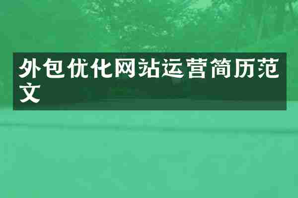 外包优化网站运营简历范文