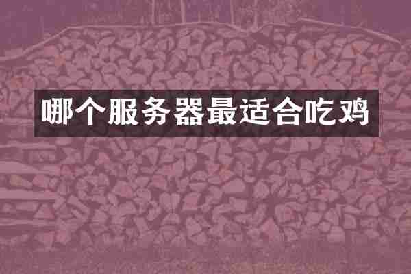 哪个服务器最适合吃鸡