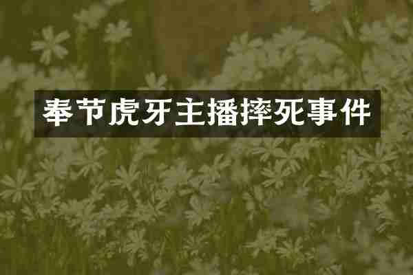 奉节虎牙主播摔死事件