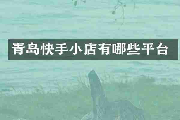 青岛快手小店有哪些平台