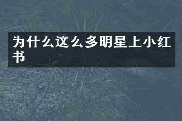 为什么这么多明星上小红书