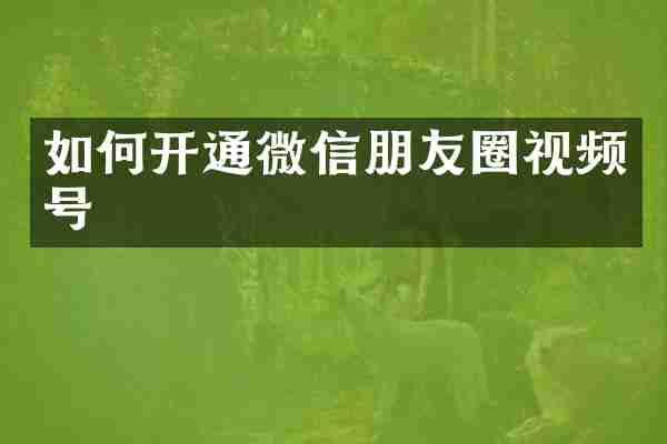 如何开通微信朋友圈视频号