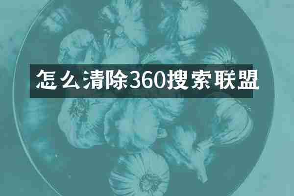 怎么清除360搜索联盟