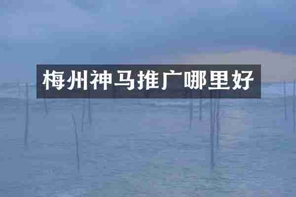 梅州神马推广哪里好