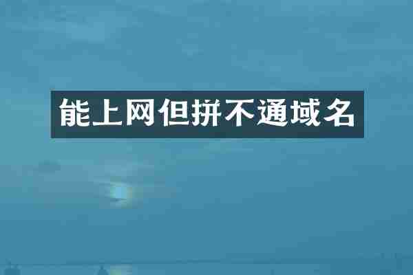 能上网但拼不通域名