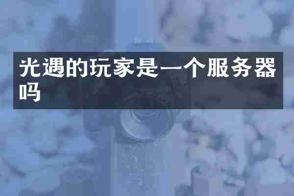 光遇的玩家是一个服务器吗
