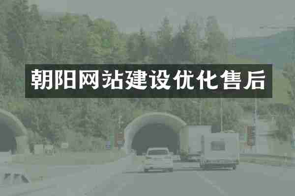 朝阳网站建设优化售后