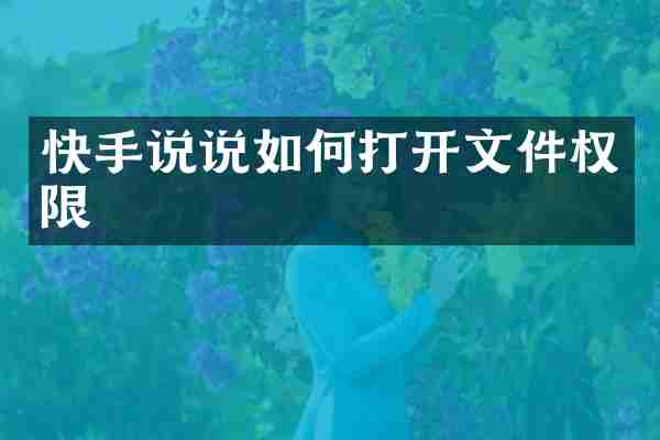 快手说说如何打开文件权限