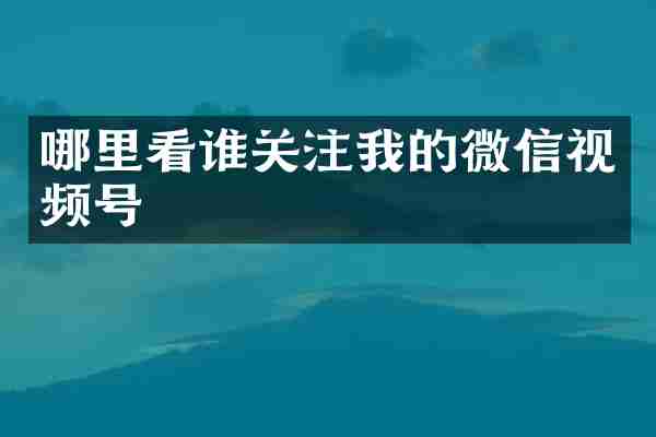 哪里看谁关注我的微信视频号