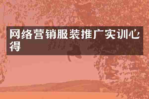 网络营销服装推广实训心得