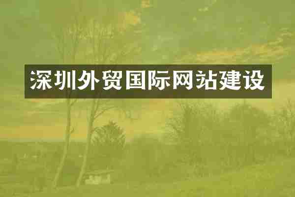 深圳外贸国际网站建设