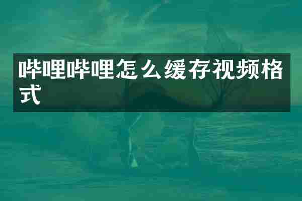 哔哩哔哩怎么缓存视频格式