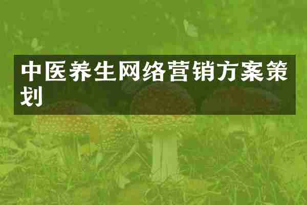 中医养生网络营销方案策划