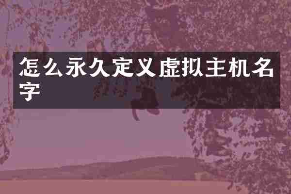 怎么永久定义虚拟主机名字