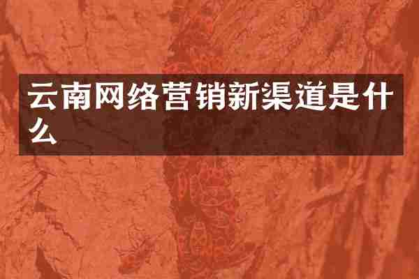 云南网络营销新渠道是什么