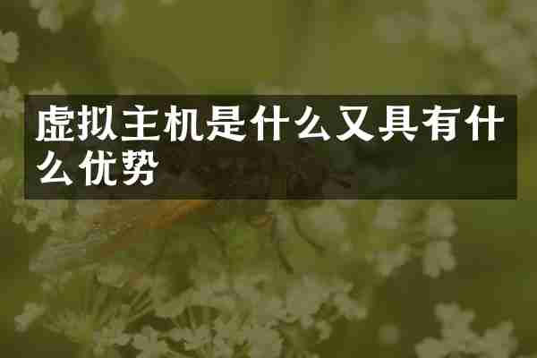 虚拟主机是什么又具有什么优势