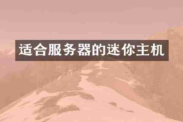适合服务器的迷你主机