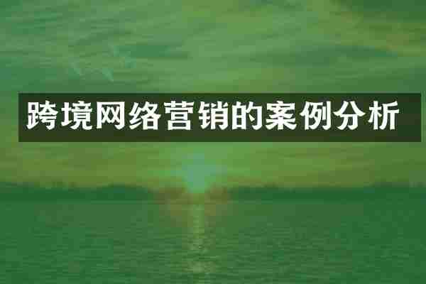 跨境网络营销的案例分析