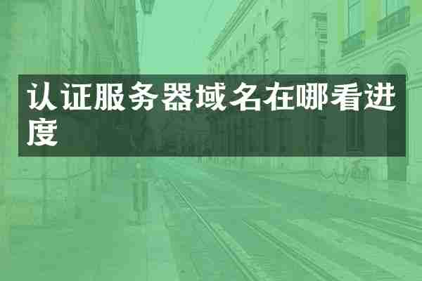 认证服务器域名在哪看进度