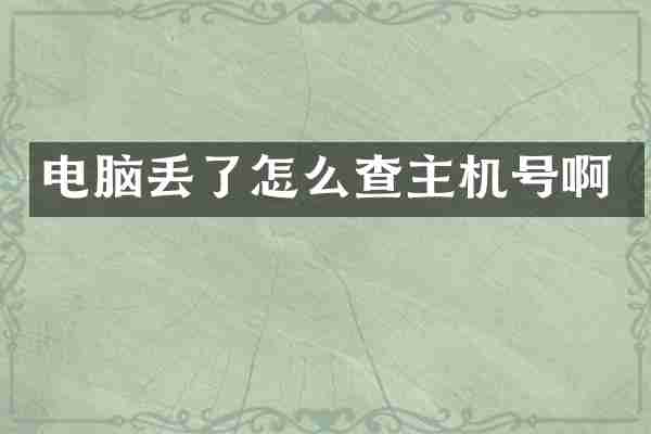 电脑丢了怎么查主机号啊