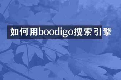 如何用boodigo搜索引擎