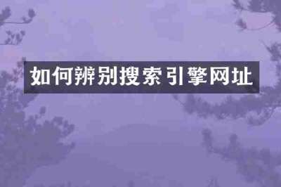 如何辨别搜索引擎网址