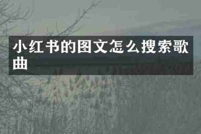 小红书的图文怎么搜索歌曲