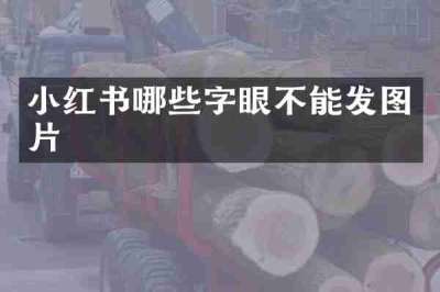 小红书哪些字眼不能发图片