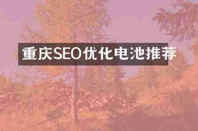 重庆SEO优化电池推荐