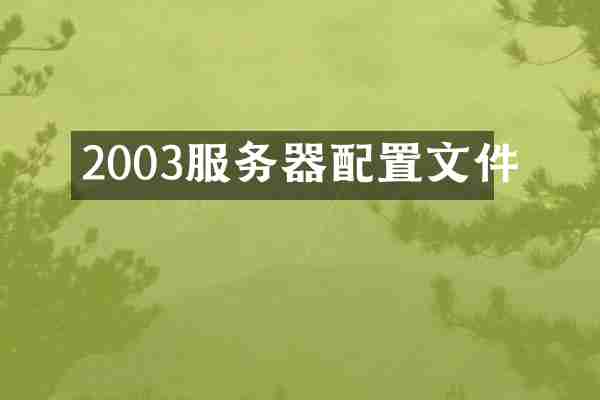 2003服务器配置文件