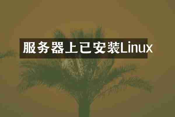 服务器上已安装Linux