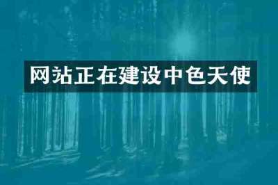 网站正在建设中色天使