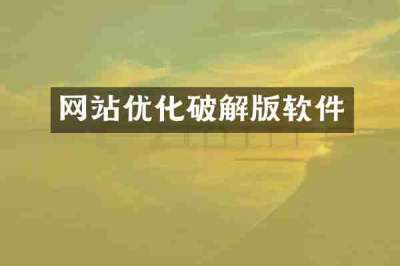 网站优化破解版软件