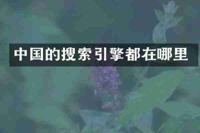 中国的搜索引擎都在哪里