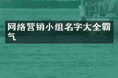 网络营销小组名字大全霸气
