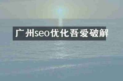 广州seo优化吾爱破解