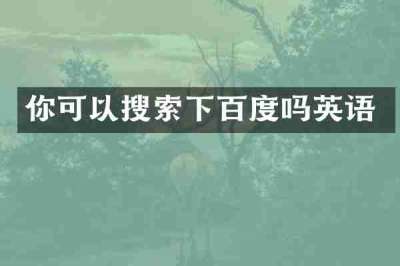 你可以搜索下百度吗英语