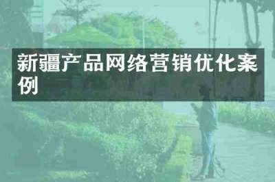 新疆产品网络营销优化案例