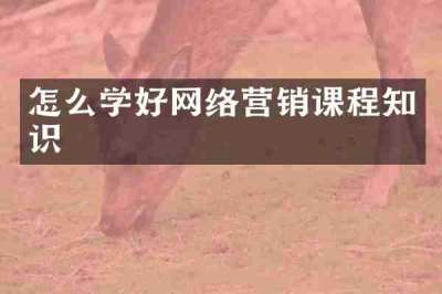 怎么学好网络营销课程知识