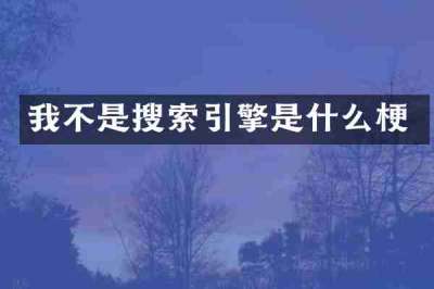 我不是搜索引擎是什么梗