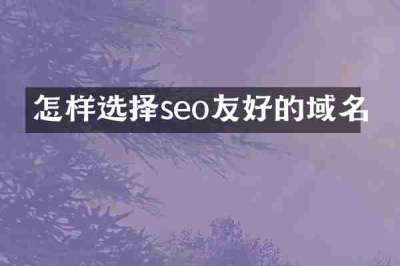 怎样选择seo友好的域名