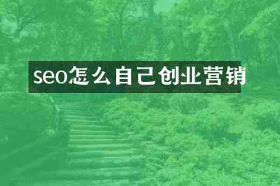 seo怎么自己创业营销