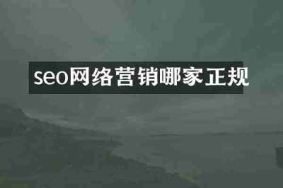 seo网络营销哪家正规