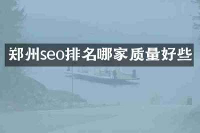 郑州seo排名哪家质量好些