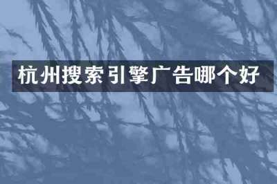 杭州搜索引擎广告哪个好