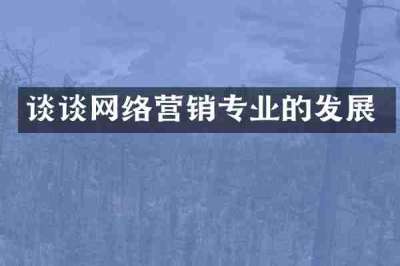 谈谈网络营销专业的发展