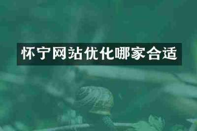 怀宁网站优化哪家合适