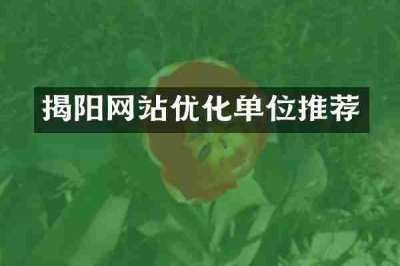 揭阳网站优化单位推荐