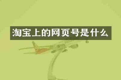 淘宝上的网页号是什么