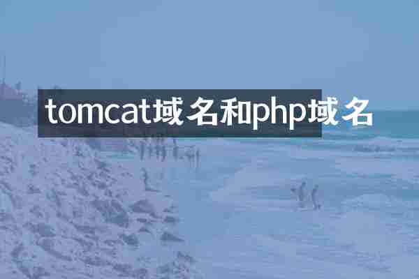 tomcat域名和php域名